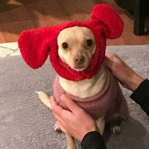 Meet your Posher, Eva